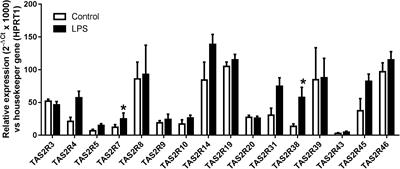 Bitter Taste Receptors (TAS2Rs) in Human Lung Macrophages: Receptor Expression and Inhibitory Effects of TAS2R Agonists